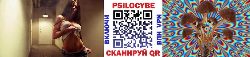 Галлюциногенные грибы Psilocybine cubensis  Купить где  Петропавловск-Камчатский 